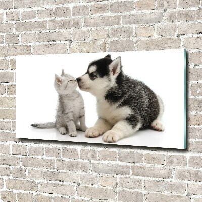 Plexiglas foto Hond en kat