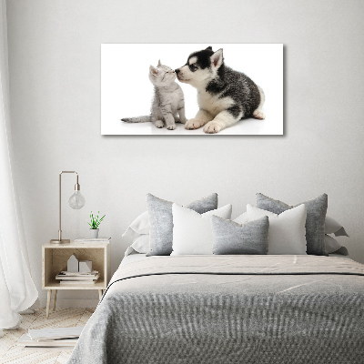 Plexiglas foto Hond en kat