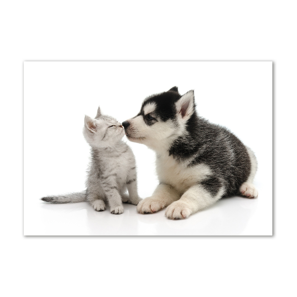 Plexiglas foto Hond en kat