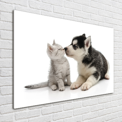 Plexiglas foto Hond en kat