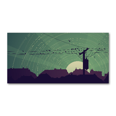 Schilderij op acrylglas Vogelstad