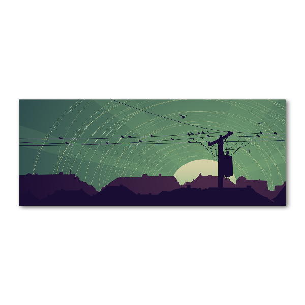 Schilderij op acrylglas Vogelstad