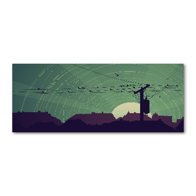 Schilderij op acrylglas Vogelstad