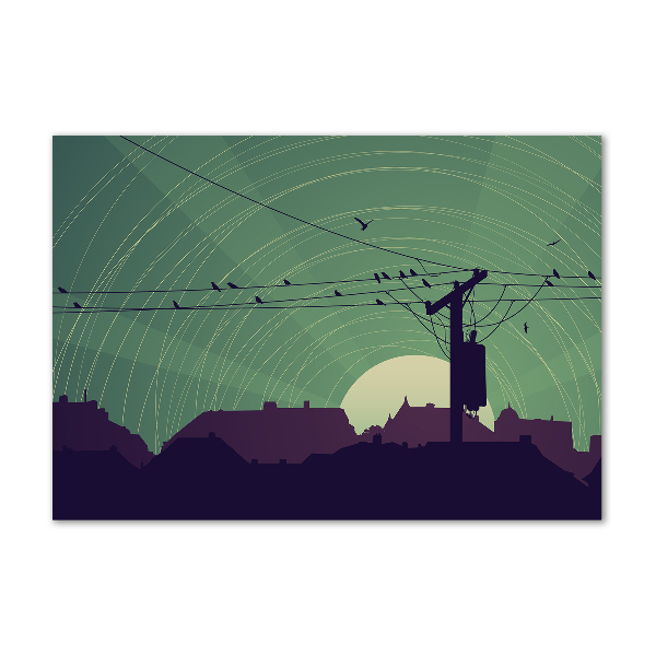 Schilderij op acrylglas Vogelstad