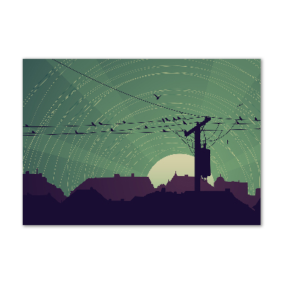 Schilderij op acrylglas Vogelstad