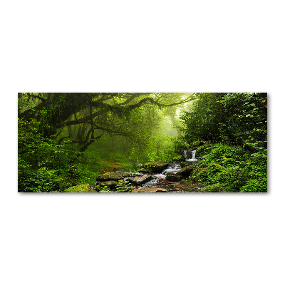 Schilderij op acrylglas Oerwoud in Nepal