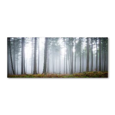 Plexiglas schilderij Mist in het bos