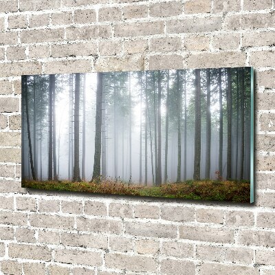 Plexiglas schilderij Mist in het bos