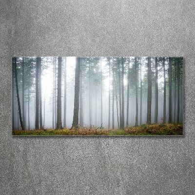 Plexiglas schilderij Mist in het bos
