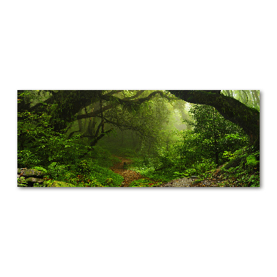 Foto plexiglas Oerwoud in Nepal