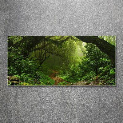 Foto plexiglas Oerwoud in Nepal