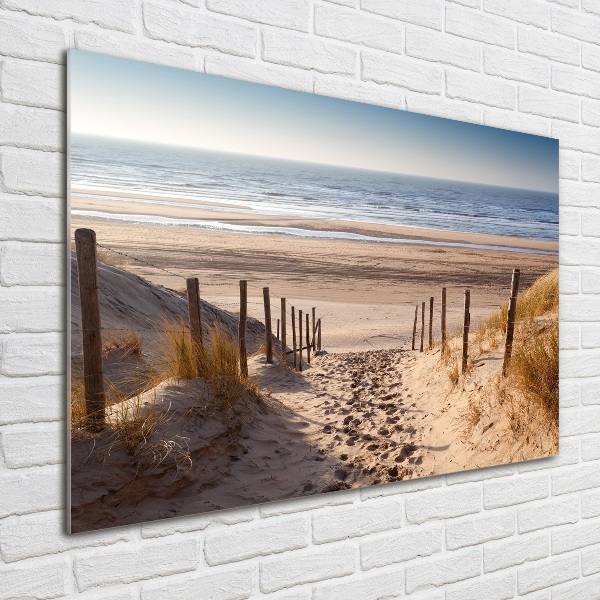 Plexiglas foto duinen aan zee