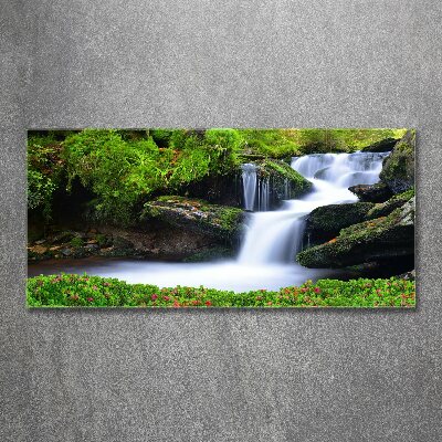 Schilderij op acrylglas Waterval in het bos