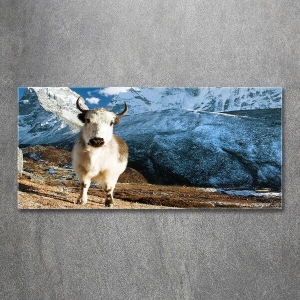 Foto plexiglas Zoals bergen