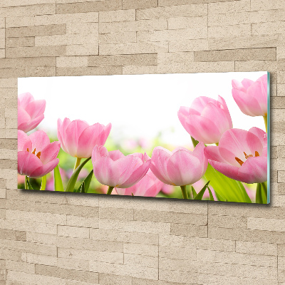 Schilderij op acrylglas Roze tulpen