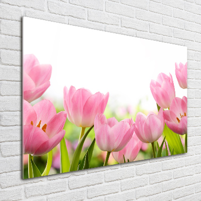 Schilderij op acrylglas Roze tulpen