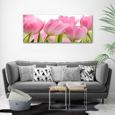 Plexiglas schilderij Roze tulpen