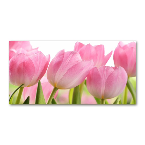 Plexiglas schilderij Roze tulpen