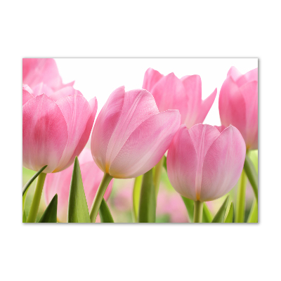 Plexiglas schilderij Roze tulpen