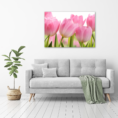 Plexiglas schilderij Roze tulpen
