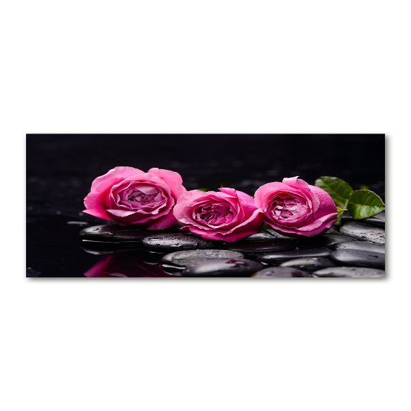 Plexiglas foto Roze rozen