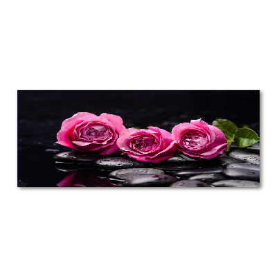 Plexiglas foto Roze rozen