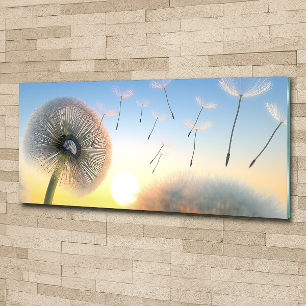 Foto in plexiglas Paardebloem