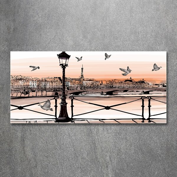 Plexiglas schilderij Schemering in Parijs