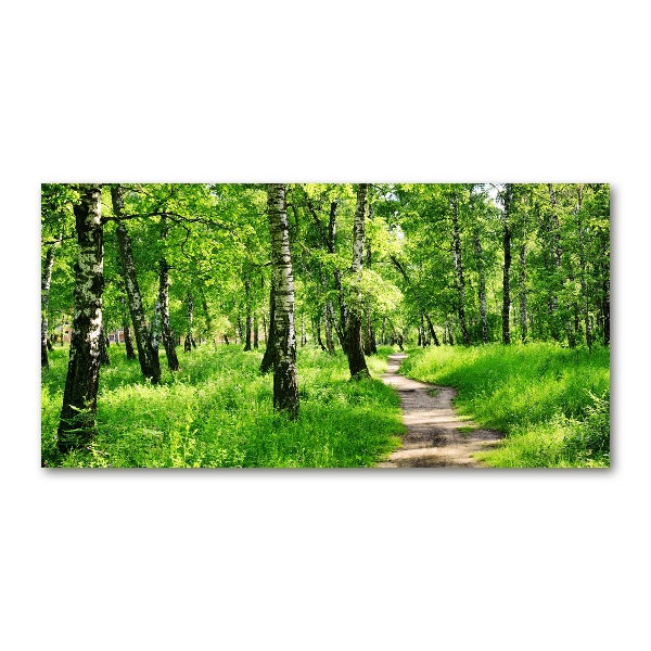 Plexiglas foto Berkenbos