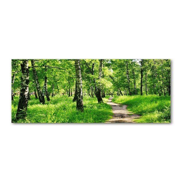 Plexiglas foto Berkenbos