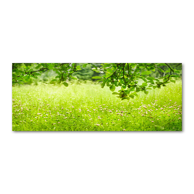 Foto plexiglas Groene weide