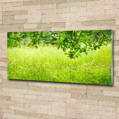 Foto plexiglas Groene weide