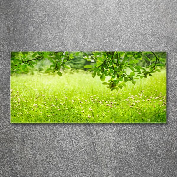 Foto plexiglas Groene weide
