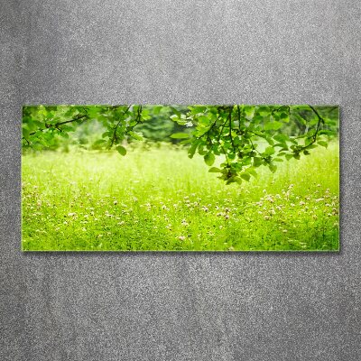 Foto plexiglas Groene weide