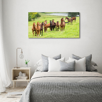 Schilderij op acrylglas Een kudde paarden in de wei