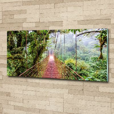 Schilderij op acrylglas Een brug in de tropen
