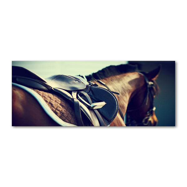 Plexiglas schilderij Zadel met stijgbeugels
