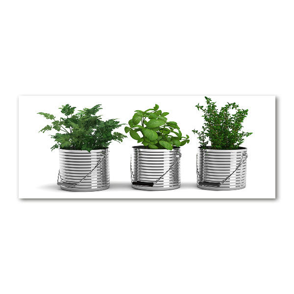 Plexiglas foto Aromatische planten