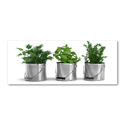 Plexiglas foto Aromatische planten
