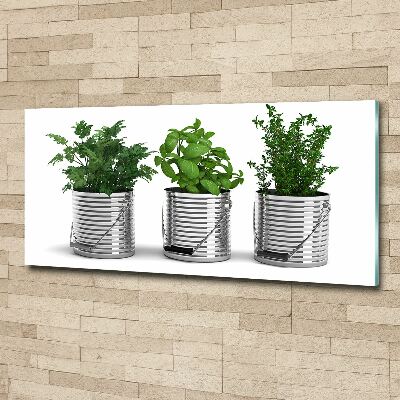 Plexiglas foto Aromatische planten