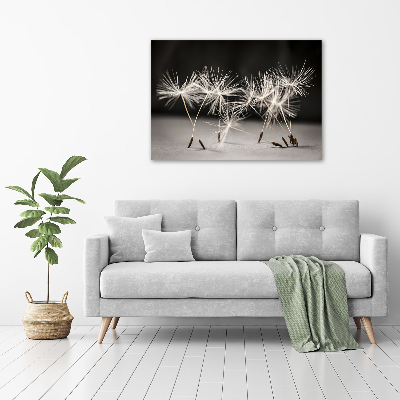 Schilderij op acrylglas Paardenbloemzaden