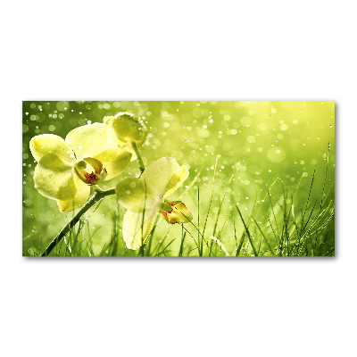 Plexiglas schilderij Orchidee