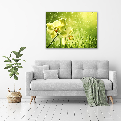 Plexiglas schilderij Orchidee