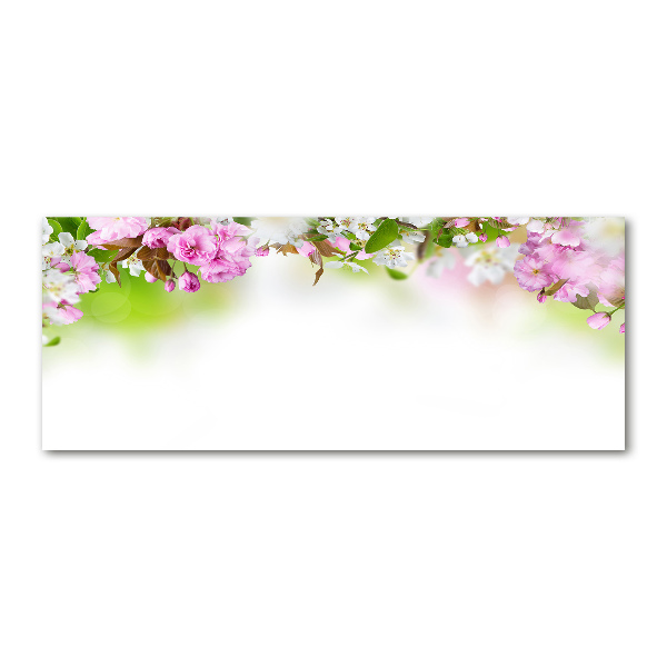 Foto op plexiglas Lentebloemen