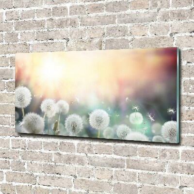 Plexiglas foto Paardenbloemenveld