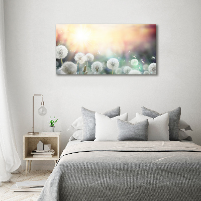 Plexiglas foto Paardenbloemenveld