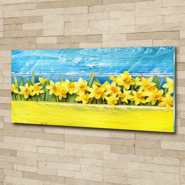 Foto plexiglas Narcissen