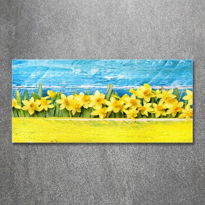 Foto plexiglas Narcissen
