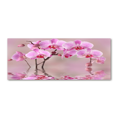 Foto in plexiglas Roze orchidee
