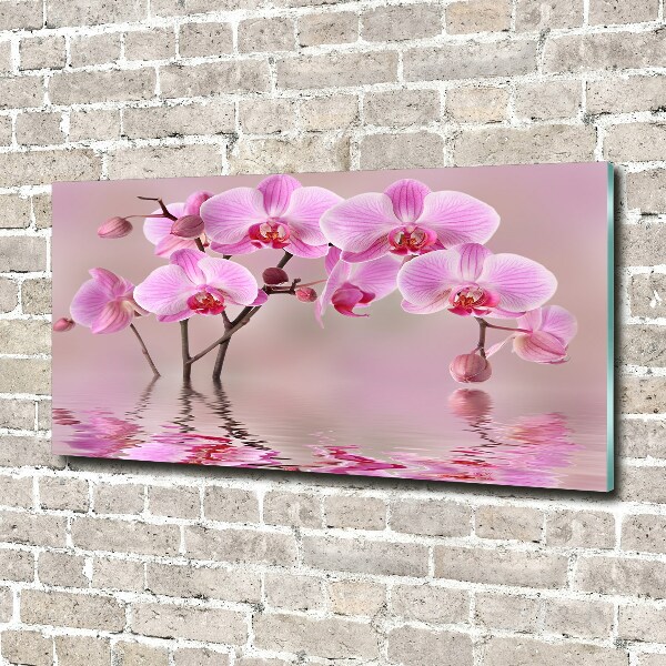 Foto in plexiglas Roze orchidee